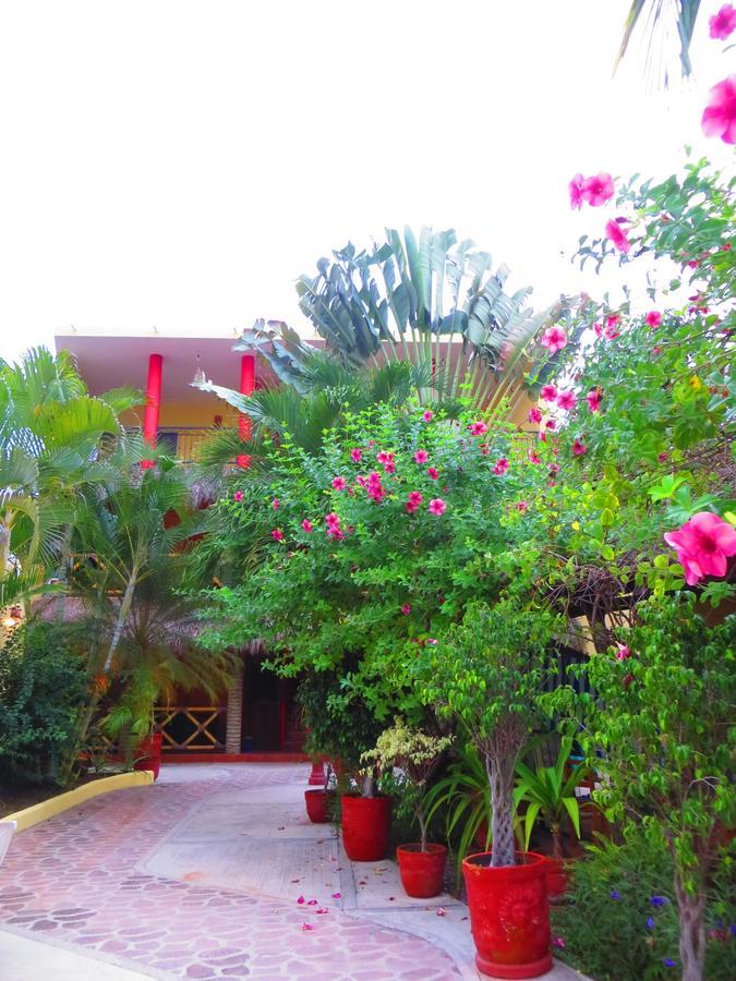 La Cruz Inn La Cruz de Huanacaxtle Εξωτερικό φωτογραφία